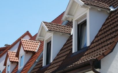 La prévention de la formation de mousses sur les toitures : techniques et conseils