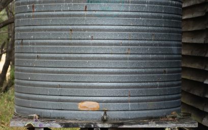 Arrosage de jardin : 3 conseils qui devraient vous servir